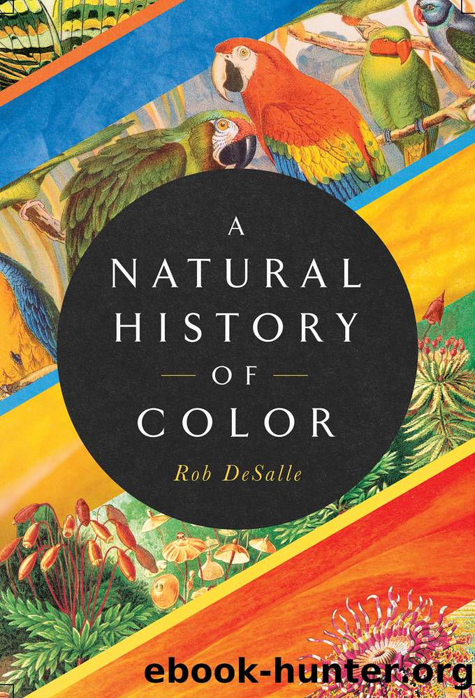 A Natural History of Color by Rob Desalle