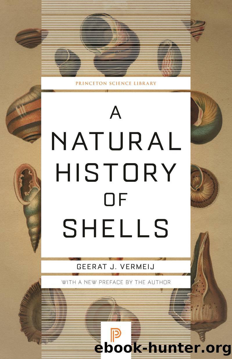 A Natural History of Shells by Vermeij Geerat J.;