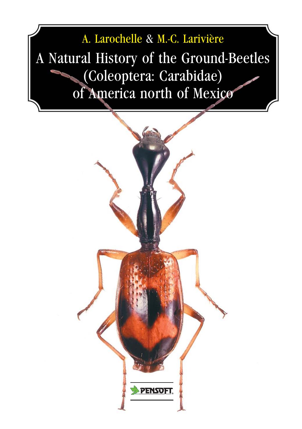 A Natural History of the Ground-Beetles (Coleoptere: Carabidae) of American North of Mexico (Pensoft Series Faunistica, 27) by Andre Larochelle Marie-Claude Lariviere