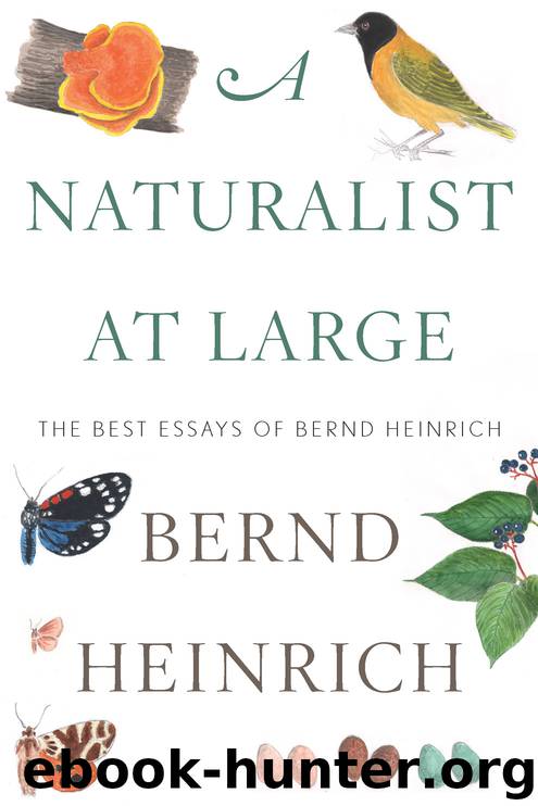 A Naturalist at Large by Bernd Heinrich