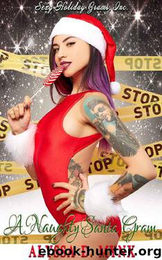 A Naughty Santa Gram by Alyssa D Mynx