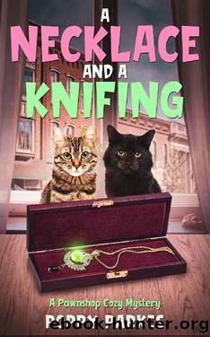 A Necklace and a Knifing: A Pawnshop Cozy Mystery by Poppy Parkes