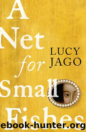 A Net for Small Fishes by Lucy Jago