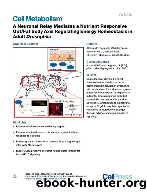 A Neuronal Relay Mediates a Nutrient Responsive GutFat Body Axis Regulating Energy Homeostasis in Adult Drosophila by unknow