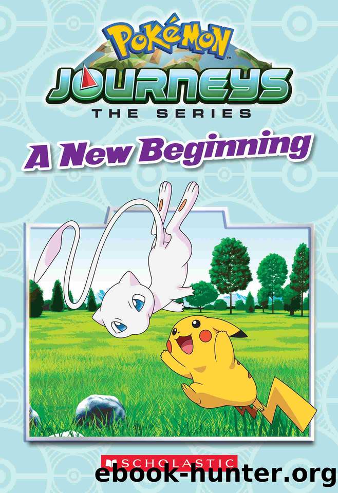 A New Beginning by Rebecca Shapiro