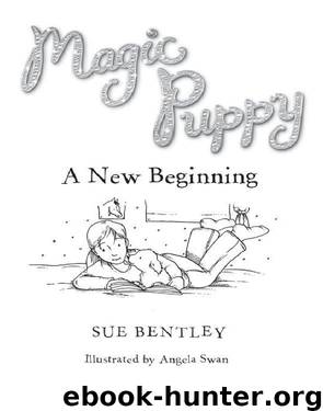 A New Beginning by Sue Bentley