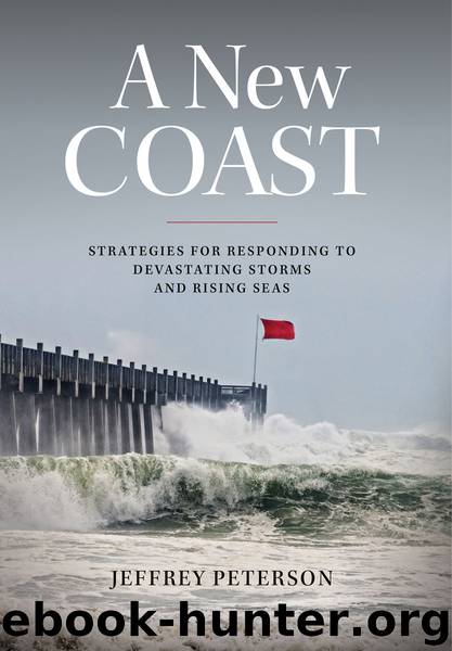 A New Coast by Jeffrey Peterson