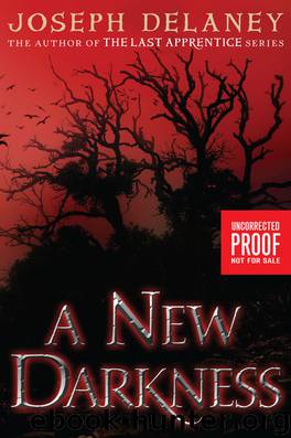 A New Darkness by Delaney Joseph