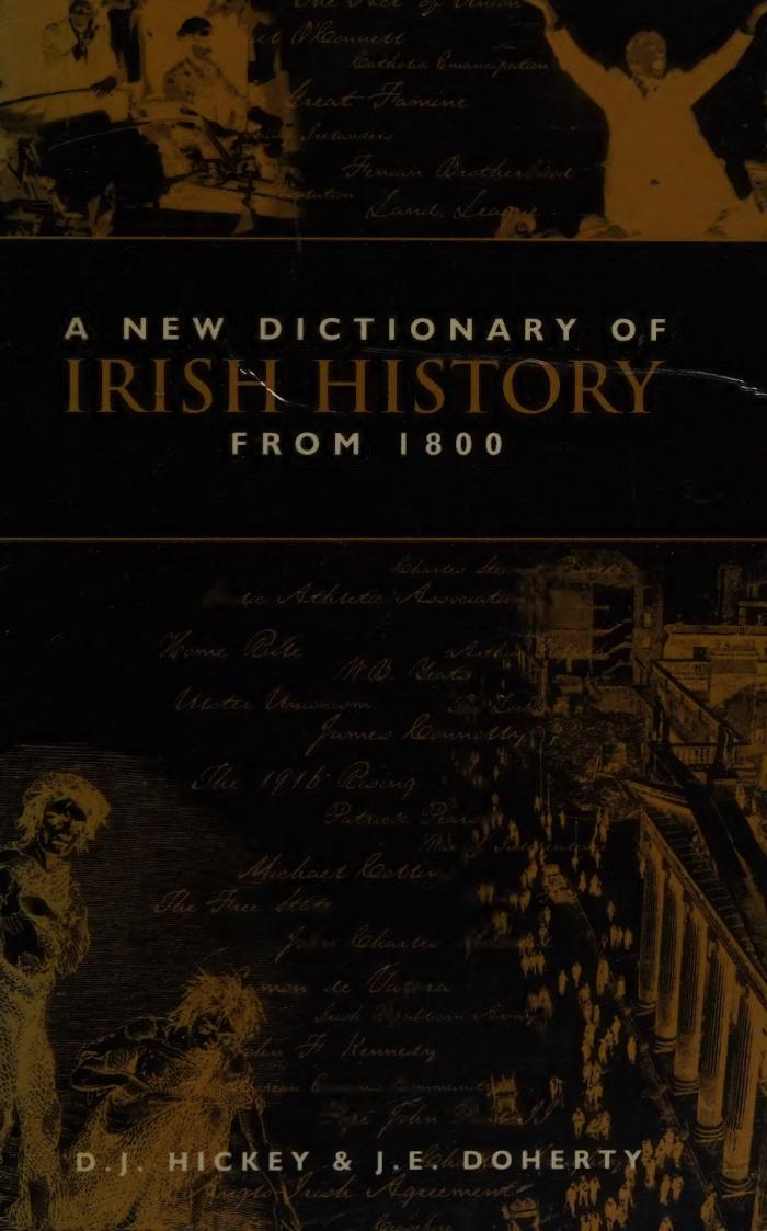A New Dictionary of Irish History from 1800 by D.J. Hickey (editor) J.E. Doherty (editor)