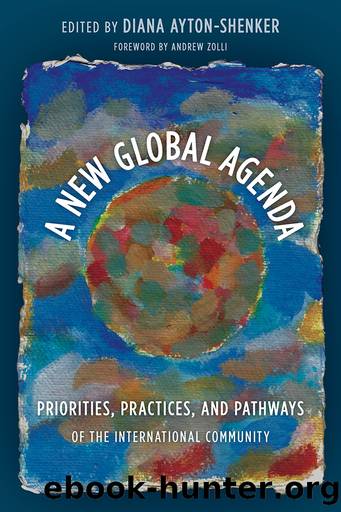 A New Global Agenda by Ayton-Shenker Diana;