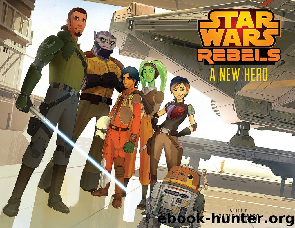 A New Hero by Pablo Hidalgo