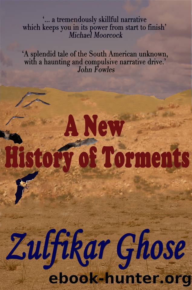 A New History of Torments by Ghose Zulfikar