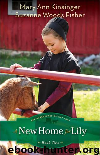 A New Home for Lily by Mary Ann Kinsinger & Suzanne Woods Fisher