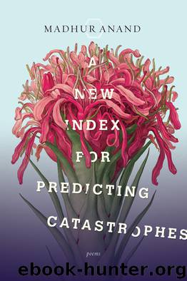A New Index for Predicting Catastrophes by Madhur Anand