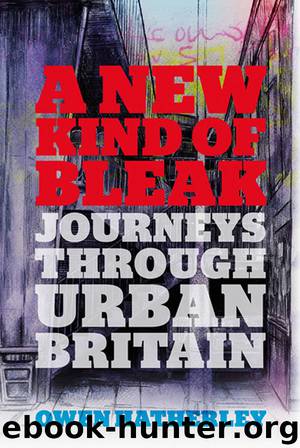 A New Kind of Bleak by Owen Hatherley