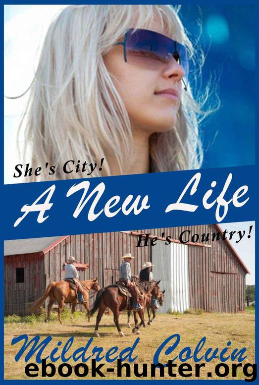 A New Life by Mildred Colvin