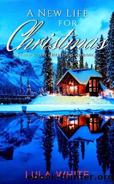A New Life for Christmas: A Stand Alone Christmas Romance by Lula White