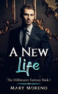 A New Life_The Millionaire Fantasy Book 1 by Mary Moreno