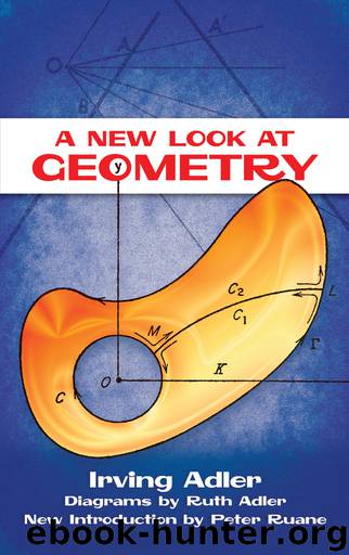 A New Look at Geometry by Irving Adler