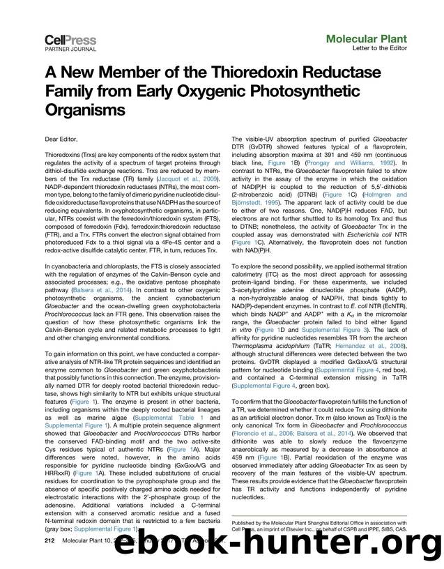 A New Member of the Thioredoxin Reductase Family from Early Oxygenic Photosynthetic Organisms by unknow