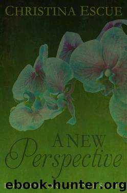 A New Perspective (Second Chance #4) by Christina Escue