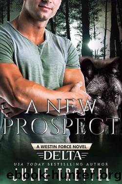 A New Prospect by Julie Trettel