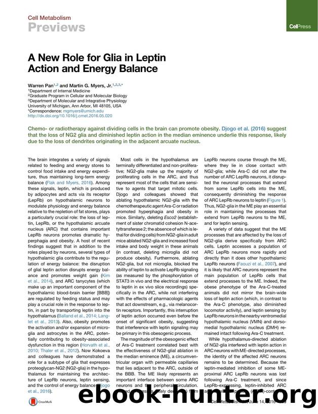 A New Role for Glia in Leptin Action and Energy Balance by Warren Pan & Martin G. Myers Jr