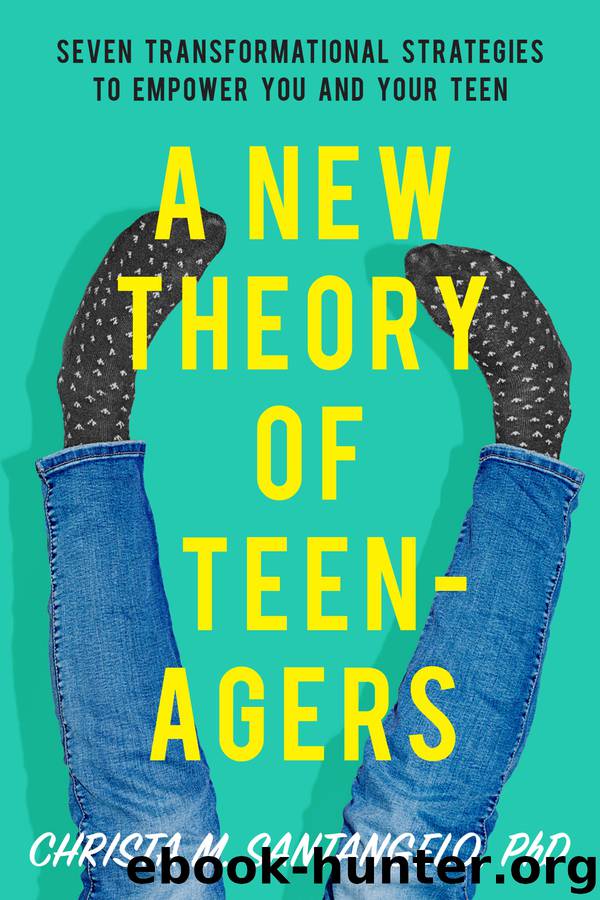 A New Theory of Teenagers by Christa Santangelo