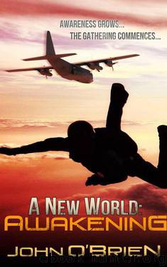 A New World: Awakening by John O'Brien