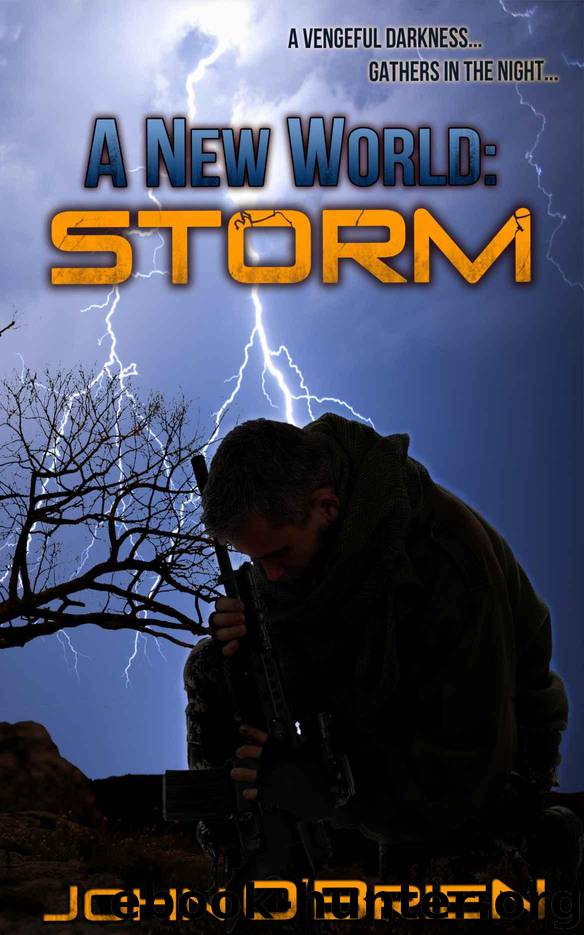 A New World: Storm by O'Brien John