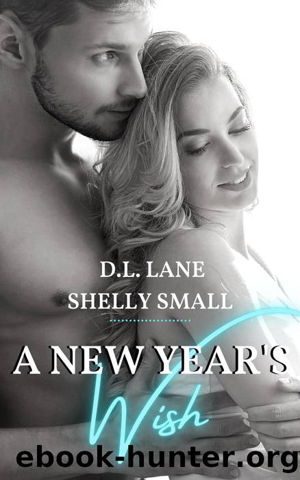 A New Year's Wish by D.L. Lane & Shelly Small
