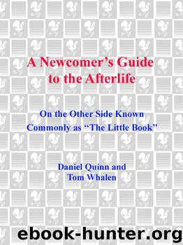 A Newcomer's Guide to the Afterlife by Daniel Quinn