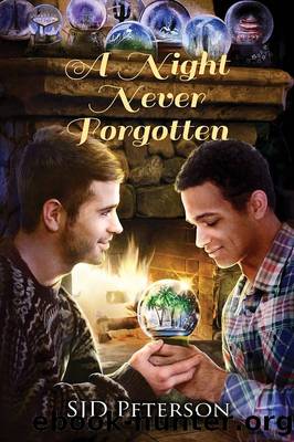 A Night Never Forgotten by SJD Peterson