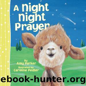 A Night Night Prayer by Amy Parker