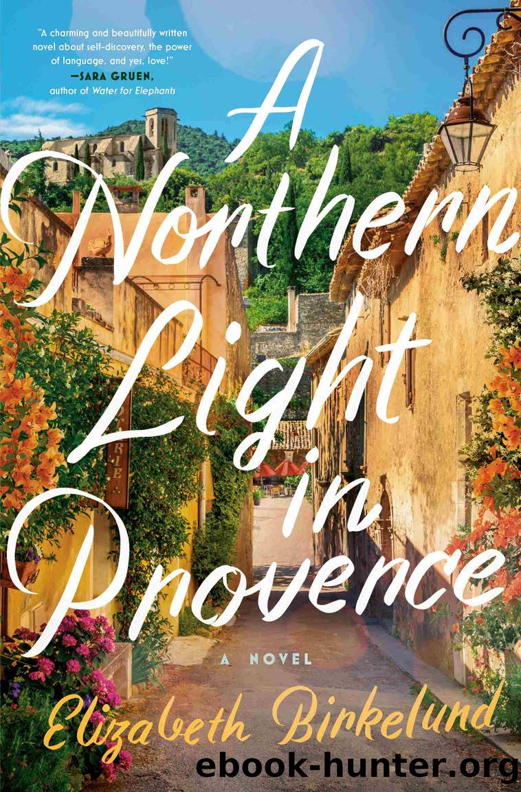 A Northern Light in Provence by Elizabeth Birkelund