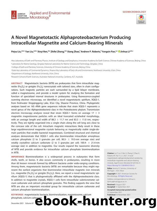 A Novel Magnetotactic Alphaproteobacterium Producing Intracellular Magnetite and Calcium-Bearing Minerals by unknow
