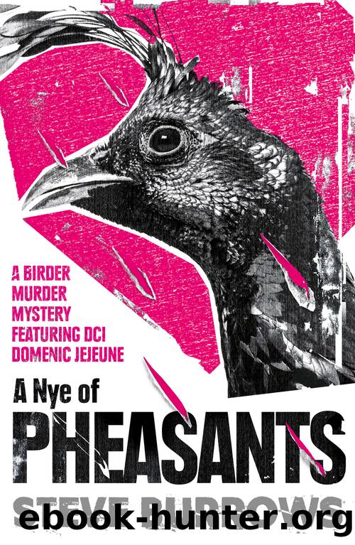 A Nye of Pheasants by Steve Burrows