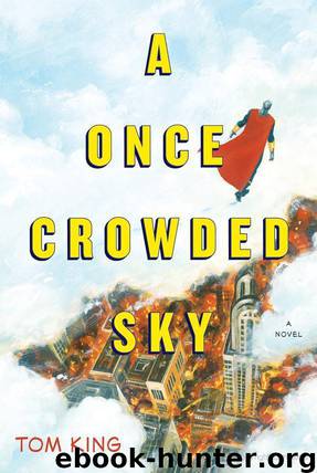 A Once Crowded Sky: A Novel by Tom King;Tom Fowler