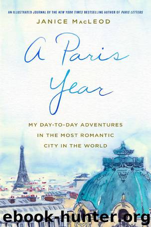 A Paris Year by Janice MacLeod