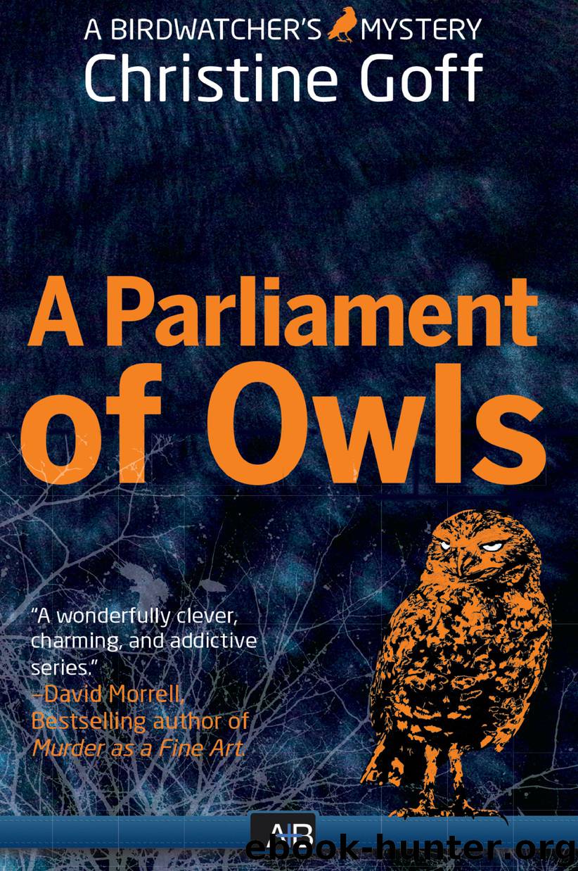 A Parliament of Owls by Christine Goff