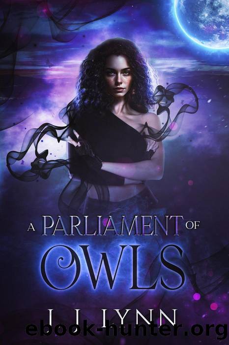 A Parliament of Owls by J. J Lynn