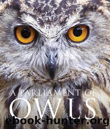 A Parliament of Owls by Mike Unwin & David Tipling
