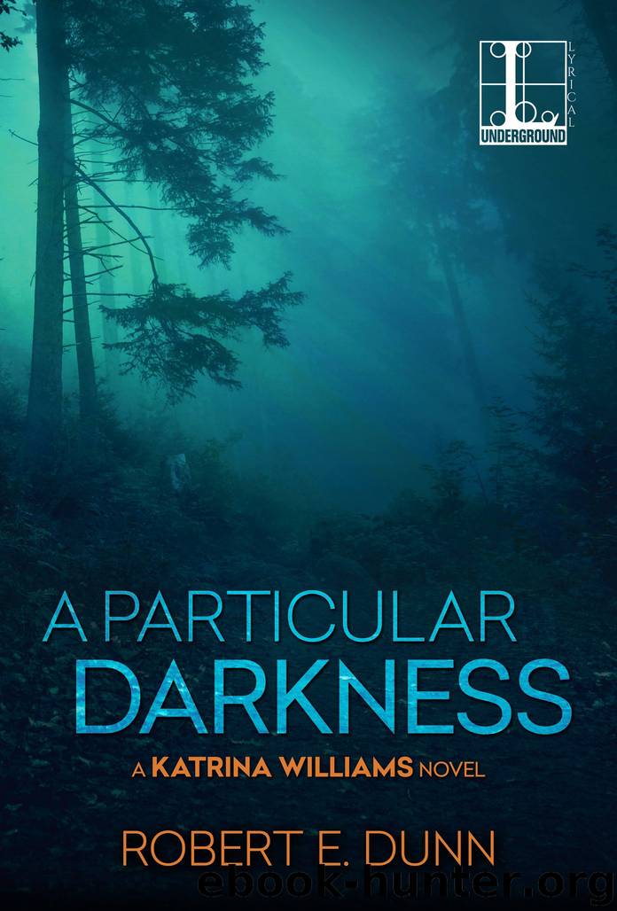 A Particular Darkness by Robert E. Dunn