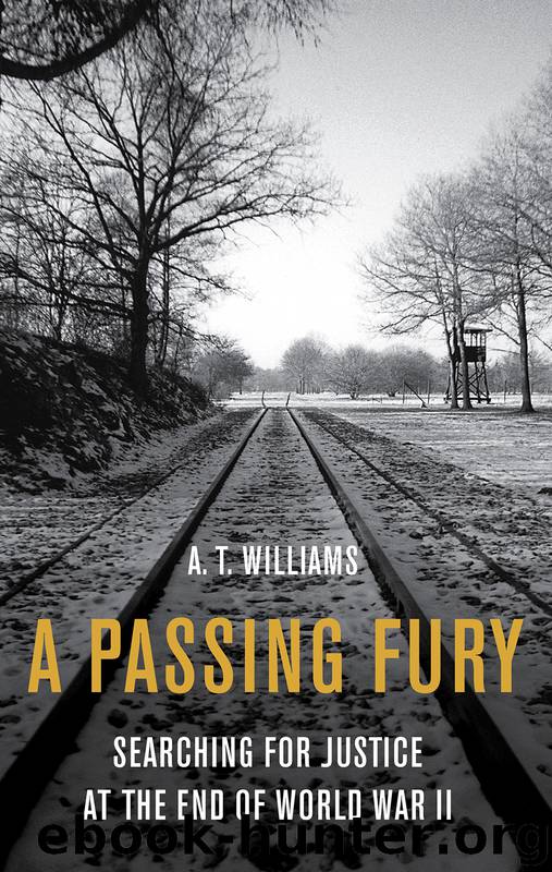 A Passing Fury by A. T. Williams