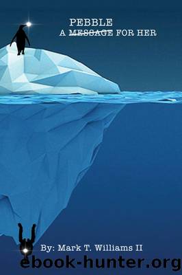 A Pebble For Her by Mark T. Williams II