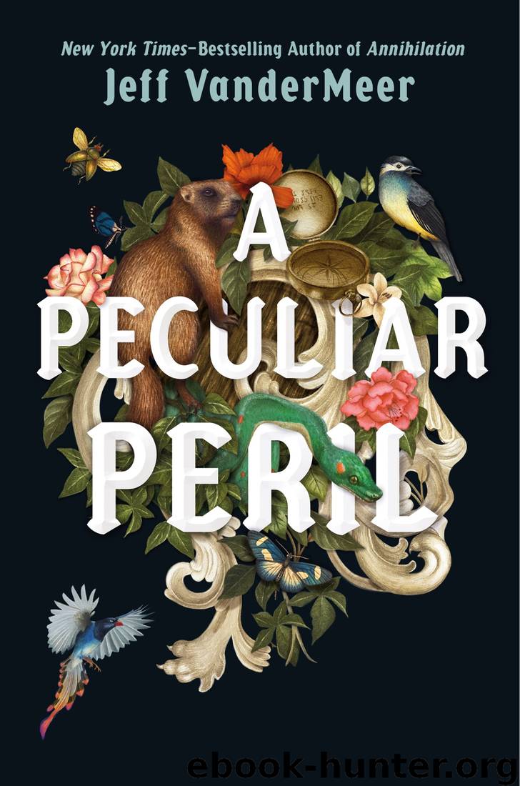 A Peculiar Peril by Jeff Vandermeer