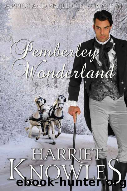 A Pemberley Wonderland by Knowles Harriet & a Lady