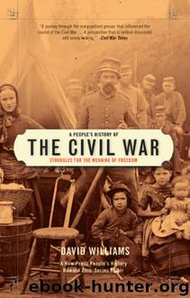 A People's History of the Civil War: Struggles for the Meaning of Freedom by David Williams & Howard Zinn
