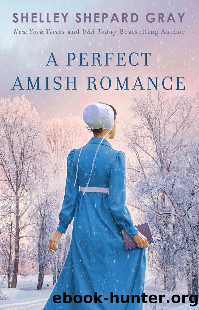 A Perfect Amish Romance by Shelley Shepard Gray