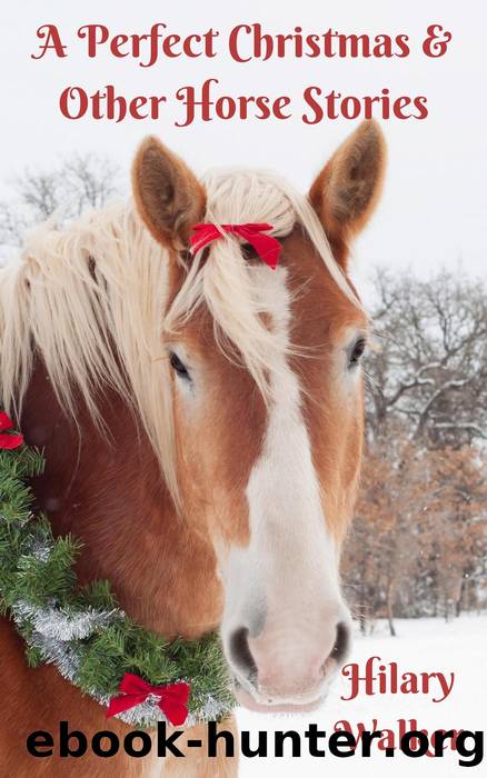A Perfect Christmas & Other Horse Stories by Hilary Walker